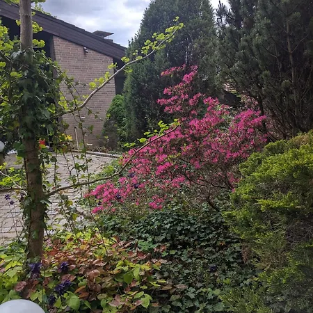 Waldwinkel